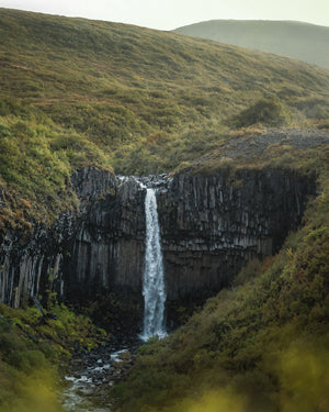 Svartifoss Mornings | Iceland