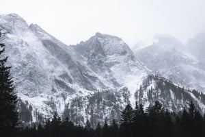 Bavarian Winter | Eibsee, Germany